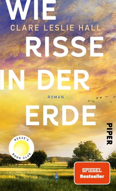Wie Risse in der Erde: Roman
