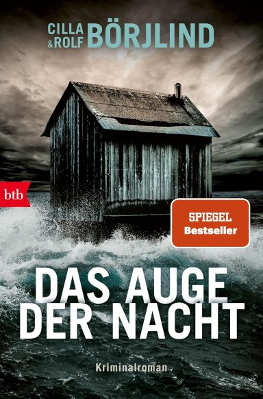 Das Auge der Nacht: Krimi